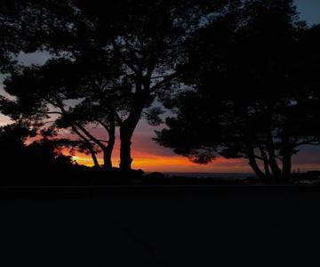 20 M2 Studio Dans Les Calanques