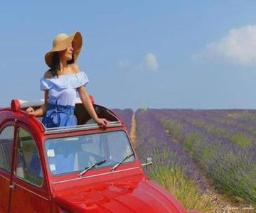 La Métairie De Martine