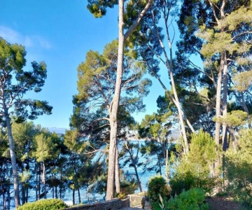 Studio Saint Cyr Sur Mer