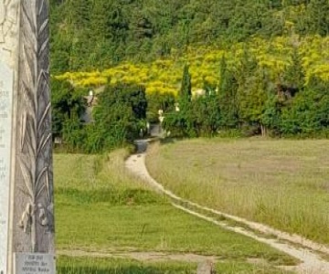 Nature Et Sérénité à St Jean De Sault