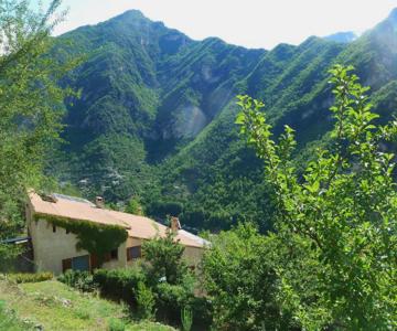 Le Mont D'olivine
