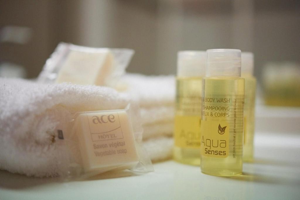 Ace Hotel Annecy