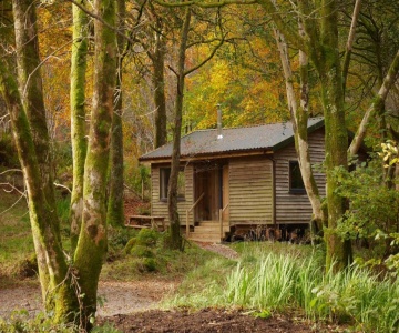 Woodland Cabins Glencoe
