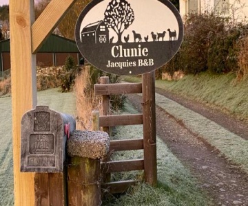 Jacquie's B&b -dumfries-room With A View