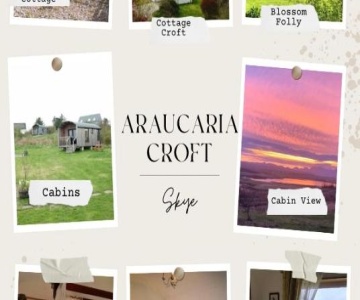 Araucaria Croft Skye