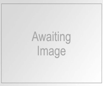 The Wide Mouthed Frog