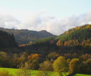 Llety Betws Bed & Breakfast