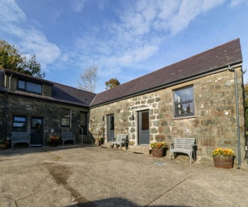 Tyddyn Sianel - Derw