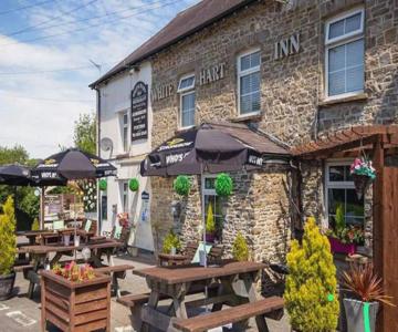 White Hart Llandeilo