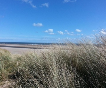 Estuary View Caravans