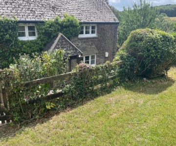The Cottage