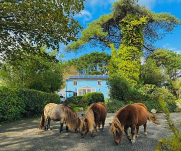 Bay View Cottage