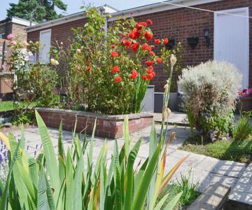 Jackdaw House
