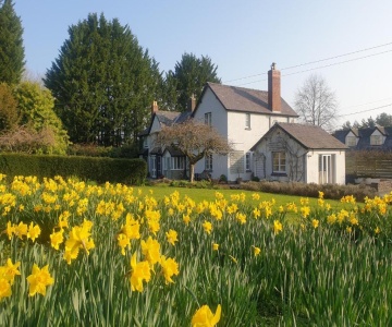 Lower House B&b And Cottages, Adforton