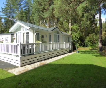 Violet 28 Oakdene Forest Park