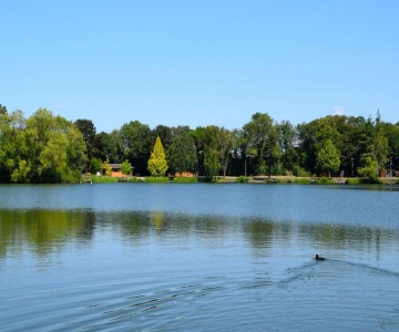 Beech Lodge 1 Hot Tub