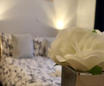 Trinity Studio - Ideally Located For City Centre