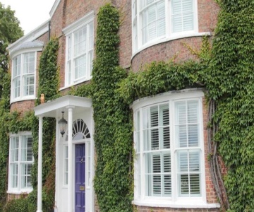 Studio - Sleeps 2 - Pets - Parking - Wifi