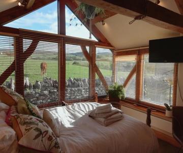Oak Frame Studio