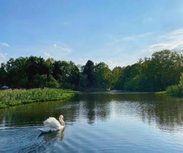 Lake View Lincoln