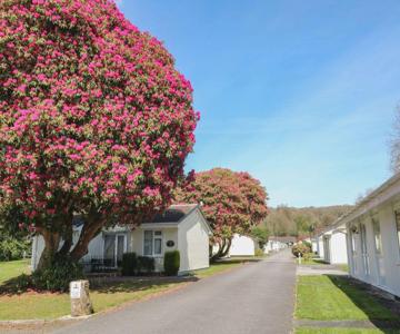 Willow Lodge