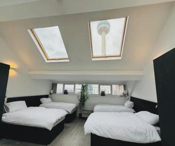 Williamson Suites - Apartment 2