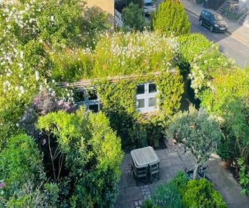 Camden Town Garden Cabin