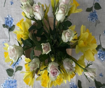 Modern Self-contained Ground And Basement Studios