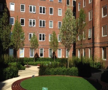 For Students Only Crm Olib London