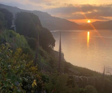 Lyme Clifftop Hideaway