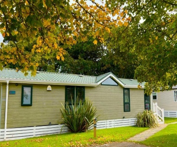 Jungle Lodge