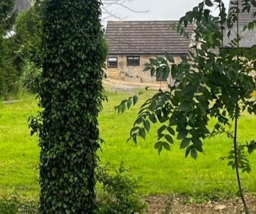 Lavender Cottage