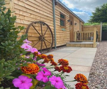 Ye Old Tack Room - Spring Paddock
