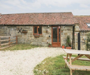 Forest View Cottage