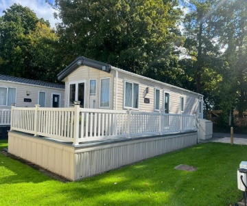 Forest Beach Bashley Park