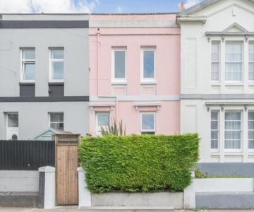 The Pink House