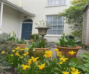 Luxury flat in Totnes