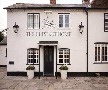 The Chestnut Horse