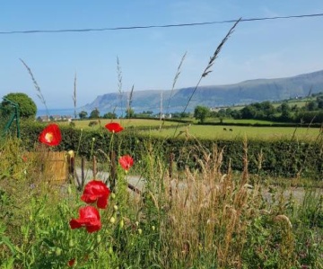 The Glens