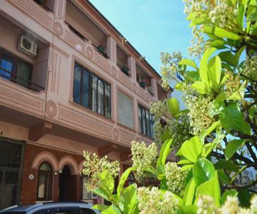 Globus Hostel & Guesthouse
