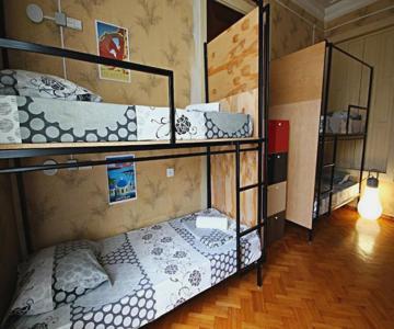 Dingo Backpackers Hostel