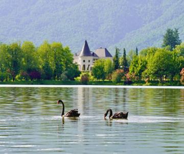 Lopota Lake Resort & Spa