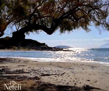 Nefeli Family House1' Modern Villa With Swimming Pool & Jacuzzi