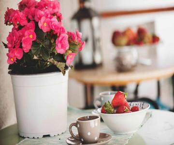 Lovely,central, Spacious 2-bedrooms Apartment