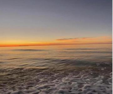 Sea Harmony