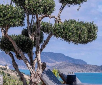 The Olive Tree Villa Elounda