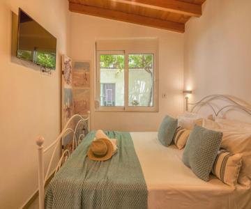 Vitis Vinifera Tranditional Studio Apartment