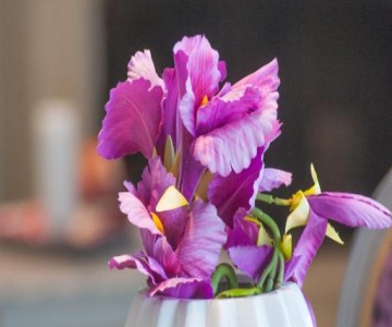 Skandalakis Homes & Apartments