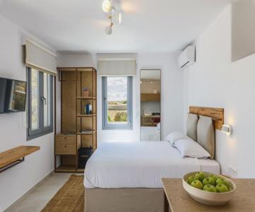Landi House Mykonos