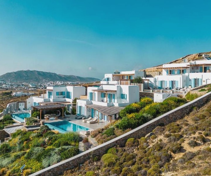 Chrysanthemo villas